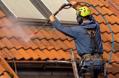 Démoussage et hydrofuge de toiture à Barjon